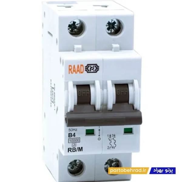 کلید مینیاتوری 2 پل رعد مدل RB/M 2P 4A