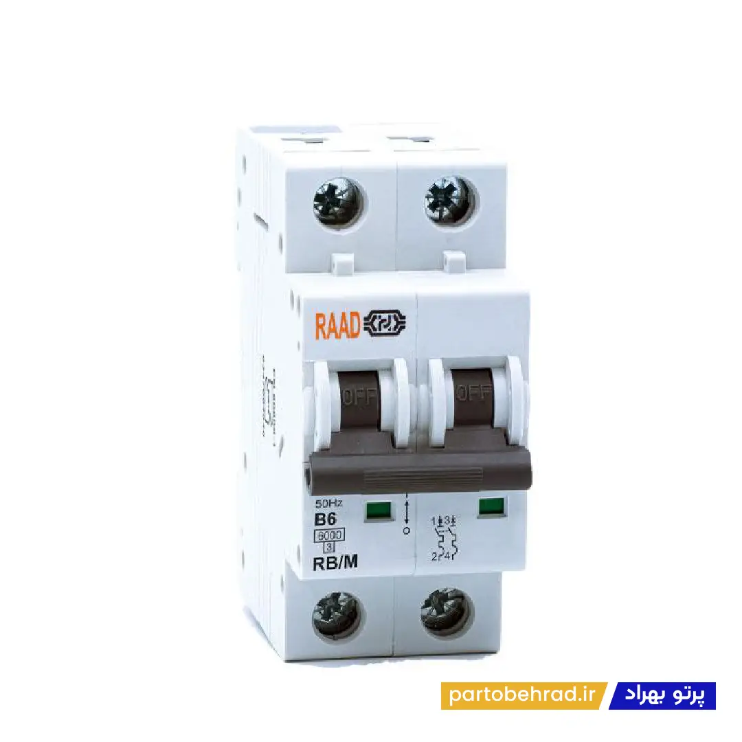 کلید مینیاتوری دو پل 10 کیلو امپر رعد مدل RB/M 2P 63A